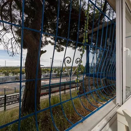 House With Tree Inside Near Sea In Maltepe