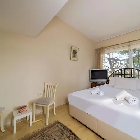 House With Tree Inside Near Sea In Maltepe Holiday home