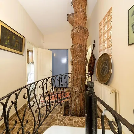 House With Tree Inside Near Sea In Maltepe Holiday home *